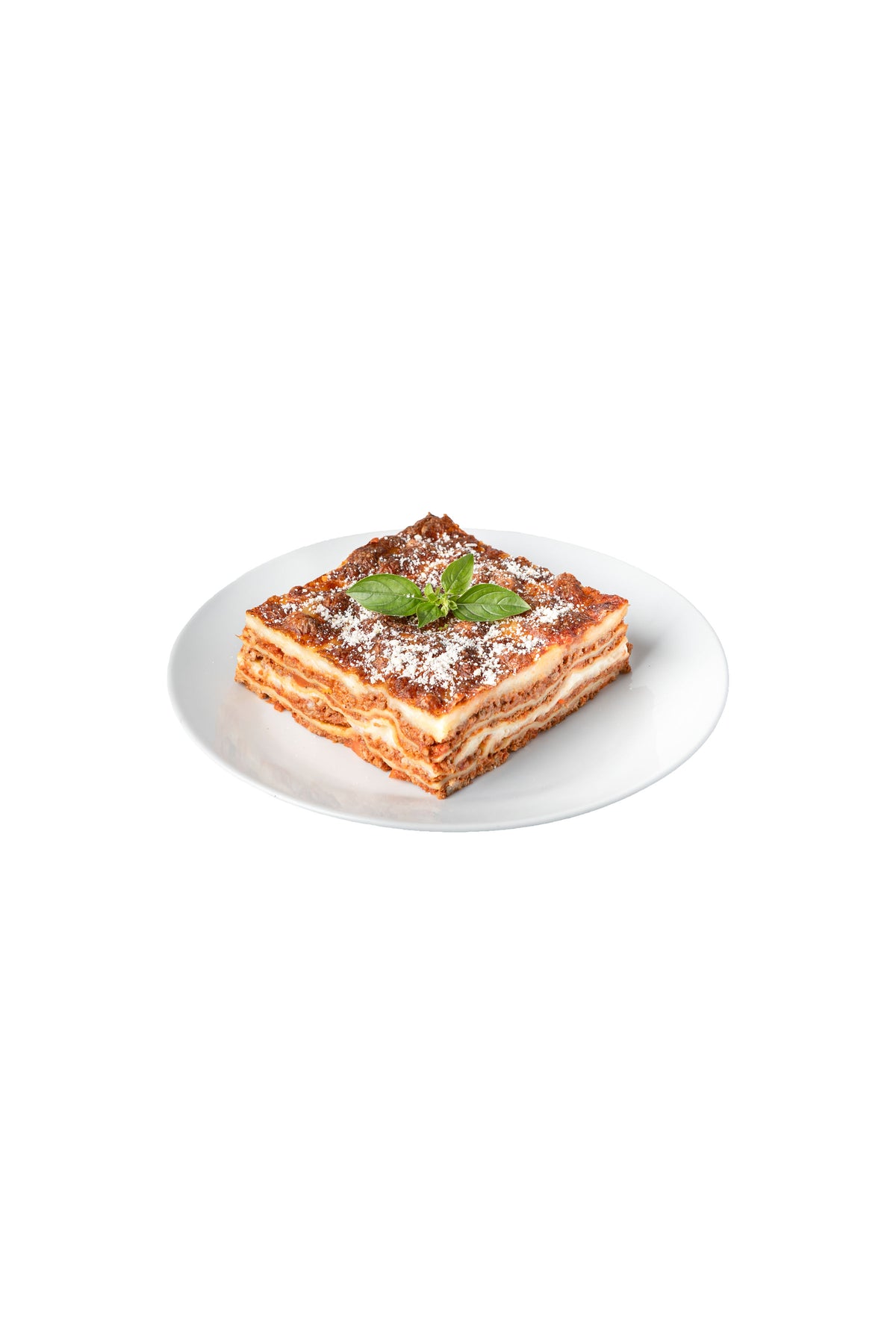 Lasagna Dish